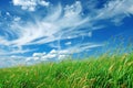 Grassy Field With Clouds in the Sky Royalty Free Stock Photo