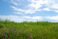 Grassy field with cloudy sky and green grass