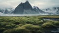 Layered Landscapes: Serene Seascapes And Stark Contrasts In Arctic Vegetation