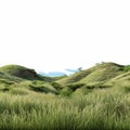 Maranao-inspired 3d Grassland Landscape On White Background