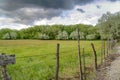 Grassy field and lush trees behind wire fence and wood posts lining a road Royalty Free Stock Photo