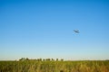 Grassy field with a plane flying over them in a blue sky Royalty Free Stock Photo