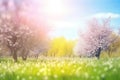 a grassy field with trees and flowers in the foreground and a bright blue sky in the background with clouds in the sky and sun Royalty Free Stock Photo