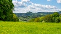 Grassy Field With Trees in Lusatian Mountains