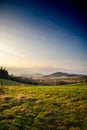 Grassy Field With Trees and Mountains