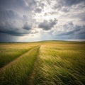 Grassy field under a dramatic cloudy sky with sunlight piercing Royalty Free Stock Photo