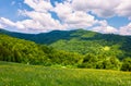 Grassy fields with wild herbs in mountains Royalty Free Stock Photo