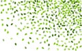 Grassy Foliage Forest Vector Backdrop. Ecology