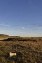 The Grassy foreshore behind the Shingle Coastline at Johnshaven Royalty Free Stock Photo