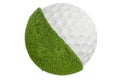 Grassy golf ball concept, 3D rendering