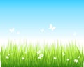 Grassy green field and blue sky Royalty Free Stock Photo