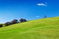 Grassy green hill with a beautiful clear sky