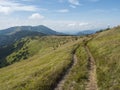 Grassy green hills and slopes at ridge of Low Tatras mountains with hiking trail footpath, mountain meadow, and pine Royalty Free Stock Photo