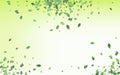 Grassy Greenery Abstract Vector Green Background Royalty Free Stock Photo