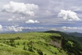 Grassy Highland in Japanese Mountains