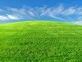 Grassy hill Royalty Free Stock Photo