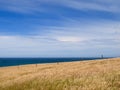 Grassy hill background Royalty Free Stock Photo