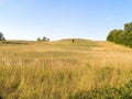 Grassy hill in countryside