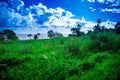 Grassy Hill and Ocean in the Background, Hilo Hawaii