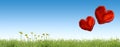 Grassy hill with two heart shaped balloons Royalty Free Stock Photo