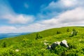 Grassy hills of Runa mountain