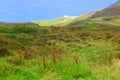 Grassy hillside on the coast of Scotland Royalty Free Stock Photo