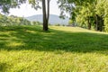 Grassy knoll with mountain Royalty Free Stock Photo