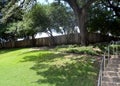 The Grassy Knoll