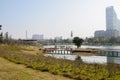 Grassy lakeside in misty modern city at sunny winter noon