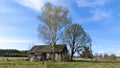 On a grassy lawn on the edge of the village next to a large birch and poplar stands an old abandoned village house. A forest grows Royalty Free Stock Photo