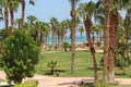 Grassy lawn among palm trees at resort in Egypt. Hotel with well-groomed territory