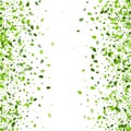 Grassy Leaf Fresh Vector Backdrop. Flying Greens