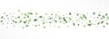 Grassy Leaf Swirl Vector Panoramic White