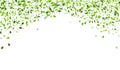 Grassy Leaves Organic Vector Template. Tea