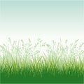 Grassy meadow Royalty Free Stock Photo