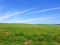 Grassy Meadow and blue sky