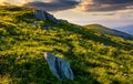 Grassy meadow with boulders on mountain slope Royalty Free Stock Photo