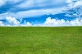 Grassy meadow, field, lawn, grassland. Green meadow background. Landscape background. Green grass field and blue sky. Wide green. Royalty Free Stock Photo