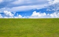 Grassy meadow, field, lawn, grassland. Green meadow background. Landscape background. Green grass field and blue sky. Wide green Royalty Free Stock Photo