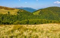 Grassy meadow on a hillside in autumn Royalty Free Stock Photo