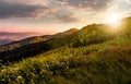 Grassy meadow on a hillside at gorgeous reddish sunset