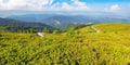 grassy meadow landscape of ukrainian mountains