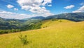 grassy meadow landscape of ukrainian mountains