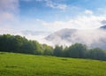 grassy meadow landscape of ukrainian mountains