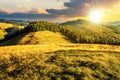 grassy meadow in mountains top near coniferous forest at sunset Royalty Free Stock Photo