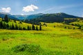 Grassy meadows of Borzhava valley