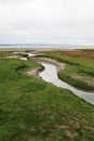 Grassy Mudbanks on Seafront at Grange-over-Sands, Cumbria, England, UK Royalty Free Stock Photo