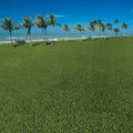 Grassy ocean view Royalty Free Stock Photo