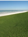 Grassy Ocean View Royalty Free Stock Photo