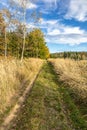 Grassy path through autumnal countryside with colorful trees and blue sky with white clouds Royalty Free Stock Photo